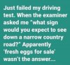 Driving Exam Failed-1.jpg