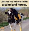 Alcohol and Horses.jpg