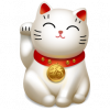 cat-6-icon.png