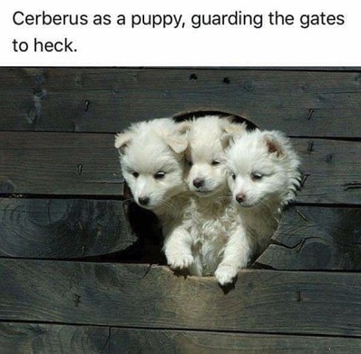 Cerberus Puppy.jpg