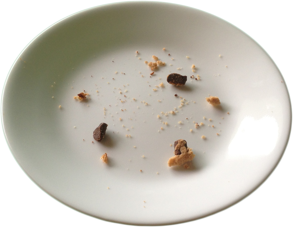Chocolate-chip-cookie-crumbs-on-plate.png