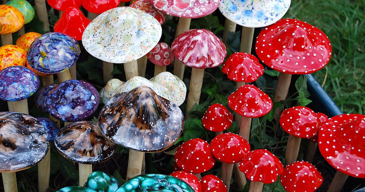 Psychedelic mushrooms.jpg