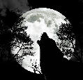 wolf-howling-at-the-moon2.jpg